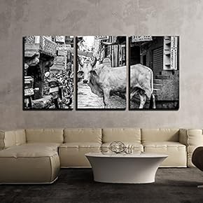3 Piece Canvas Wall Art - A Cattle Standing in a Street in Black and White - Modern Home Art Stretched and Framed Ready to Hang - 16"x24"x3 Panels