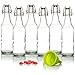 Swing Top Glass Bottles Brewing Bottles for Kombucha, Beer, Kiefer - 16 oz. - Grolsch Style Bottle (6 Set) with Funnel primary
