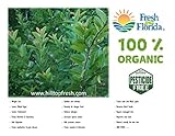 Fresh Guava Leaves - 1 oz (approx. 10 to 25 leaves) - Organic with no pesticides or chemical sprays - Certified fresh from florida - www.hilltopfresh.com