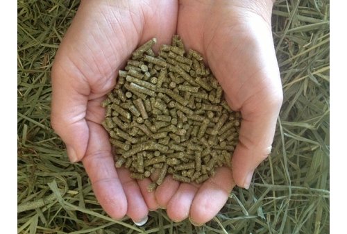 Small Pet Select Guinea Pig Food Pellets, 10-Pound