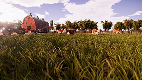 Real Farm
