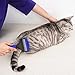 Pets Brush Comb, Double Side Use Dog Gromming Tools Trimming Massaging Tools Deshedding Tools for Dogs Cats, Medium