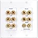 Dayton WPI-5.1 5.1 Channel Home Theater Speaker Wall Plate