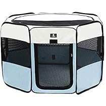 self cleaning and feeding fish tank