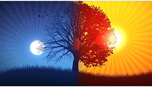 Fipart 5D Diamond Painting Art Kits for Adults,DIY Painting Kit for Kids Beginner,Round Full Diamond Cross Stitch Crafts Home Wall Decoration,Sun and Moon (12X18 Inch)