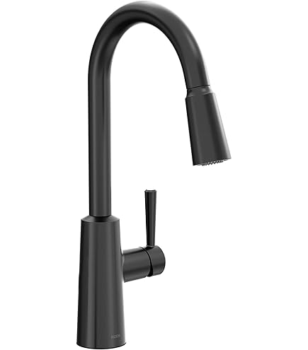 Moen Ronan Matte Black One-Handle Single Hole Modern