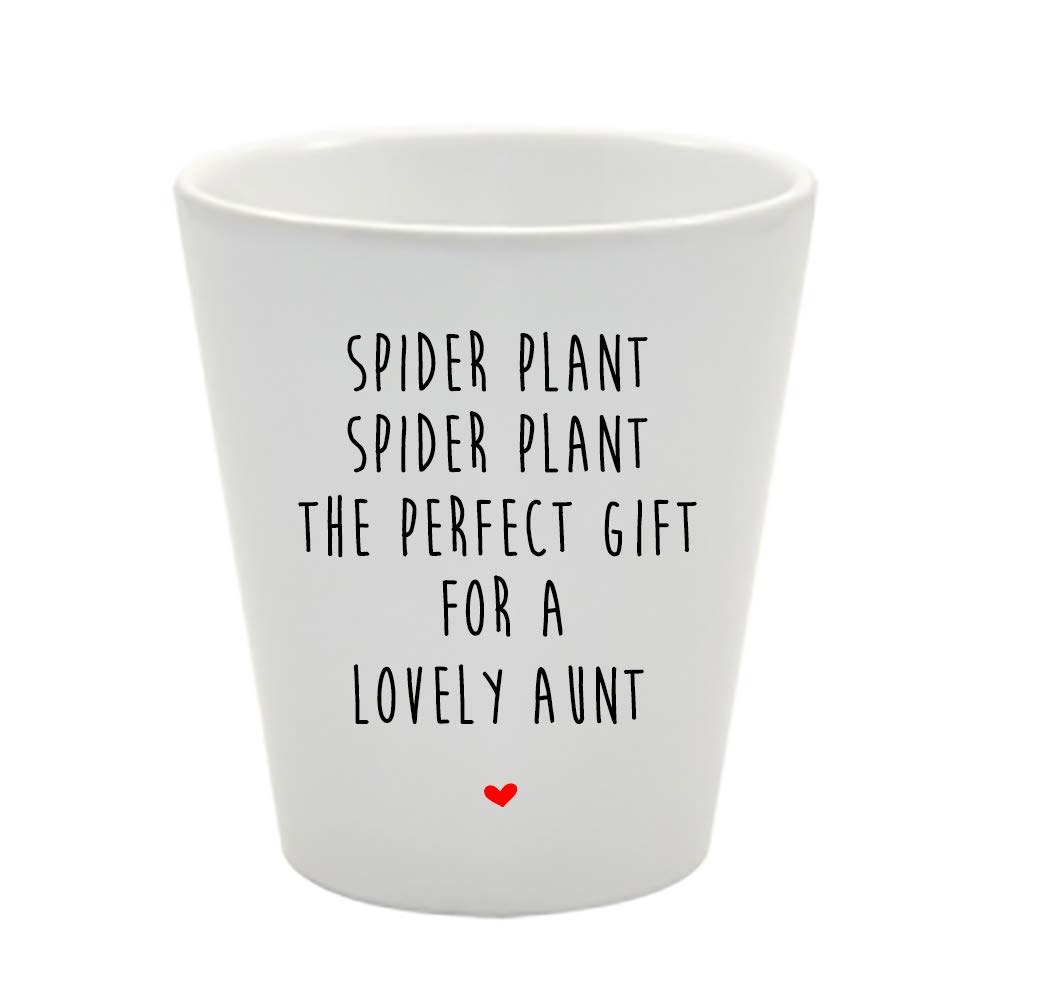 Favourite Aunt Spider Plant Pot Gift, Funny Pots, FBA