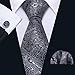 Barry.Wang Black and Grey Tie Set Silk Neckties Formal