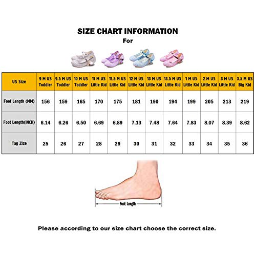 Kids Girls Flats Sparkle Party Mary Jane Princess Dress Shoes (1 M US Little Kid, Purple)