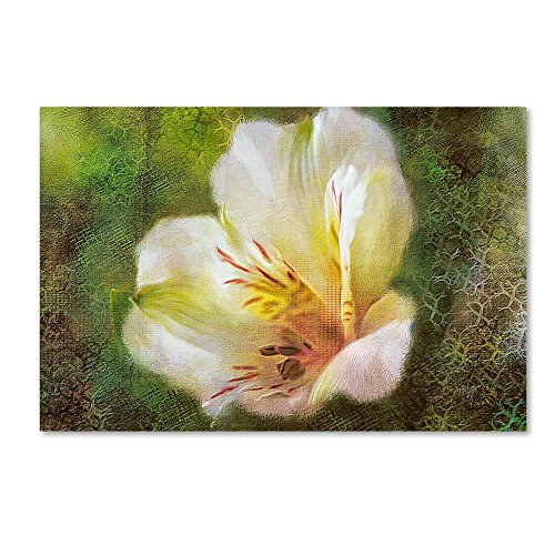 Trademark Fine Art LBR0311-C2232GG Lily of The Incas by Lois Bryan, 22x32" ,,