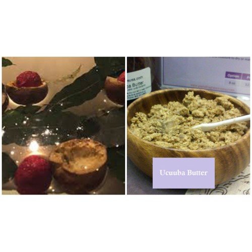 Ucuuba Butter (8 Oz) - 100% Natural Unrefined - Sustainable Product - Extraction: Cold Pressed