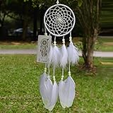 Ricdecor Dream catcher handmade traditional white feather dream catcher wall hanging car hanging decoration ornament (Luminous B （Dia 4.3
