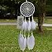 Ricdecor Dream catcher handmade traditional white feather dream catcher wall hanging car hanging decoration ornament (Luminous B （Dia 4.3