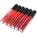 Set of 6 Colors Madly MATTE Lipgloss LG 1811~1823 Matte Lipgloss Set (LG 1813)