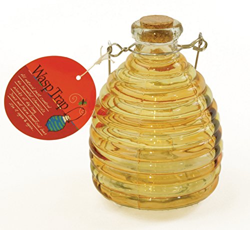 Toland Home Garden Large Yellow/Gold Pesticide-Free 5.5-Inch Diameter Glass Wasp and Fruit Fly Trap 10248 Toland Home Garden Large Yellow/Gold Pesticide-Free 5.5-Inch Diameter Glass Wasp and Fruit Fly Trap 10248