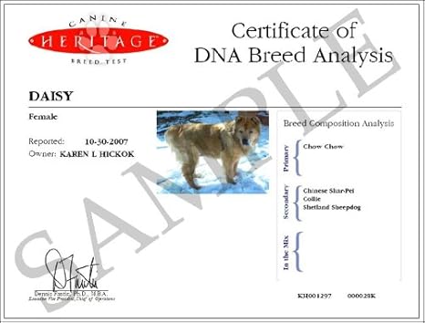 2019 mcdonalds lion king toys