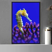 Framed Canvas Wall Art Seahorse Bedroom Colorful Jellyfish Marine Life Multicolor Neon Photography Tropical - 16x24 inches