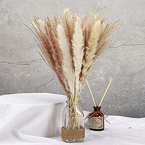 COREAET Natural Dried Pampas Grass, 60 Pcs ( 30 Pcs Reed Grass + 15 Pcs White Pampas + 15 Pcs Brown Pampas ), 18 inch Flowers Bouquet, DIY Boho Plant, Flower Arrangements for Home Decor Wedding Party