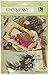 K&Company Brenda Walton Flora & Fauna Ephemera Pack