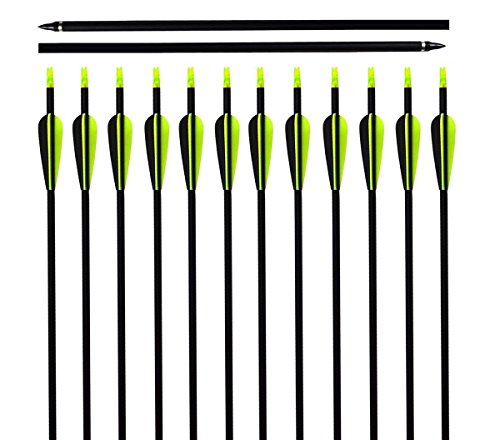 ARCHERY SHARLY 31" Carbon Hunting Arrows Targeting Practice Arrows,3" Plastic Vanes Screw-in Replacement Tips for Recurve & Traditional Bow & Longbow (12 Pack) - Thumbnail 6