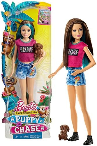 Mattel Year 2015 Barbie Puppy Chase Series 12 Inch Doll - SKIPPER DMB27 with Brown Color Puppy Dog