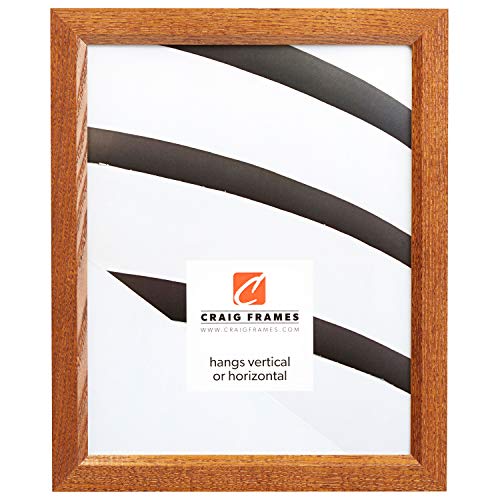 Craig Frames 8261610 Real Wood Grain Finish 21 by 32-Inch Picture/Poster Frame,…