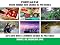 Livro Your Third 100 Verbs In Pictures In Portuguese: 201-300 Most Common Verbs In Pictures In Portuguese (Portuguese Verbs in Pictures Livro 3)
