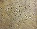 Walttools 2 x 2 foot Seamless Concrete Stamp Texturing Skin Single, 10+ Authentic Decorative Patterns Available - Concrete, Cement, Overlay (Parisian Travertine)