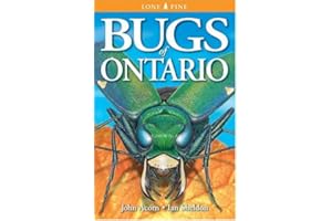 Bugs of Ontario