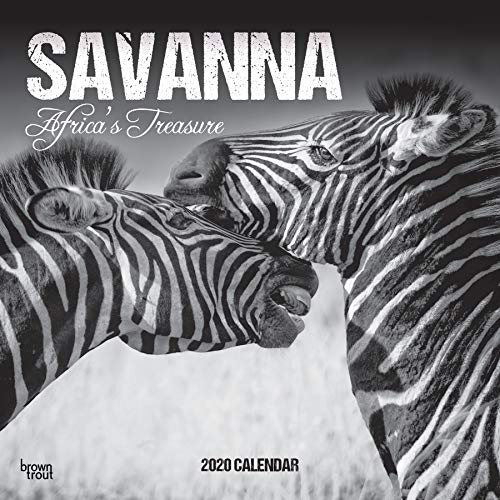 Savanna 2020 12 x 12 Inch Monthly Square Wall Calendar, Africa Animals Nature Wildlife by