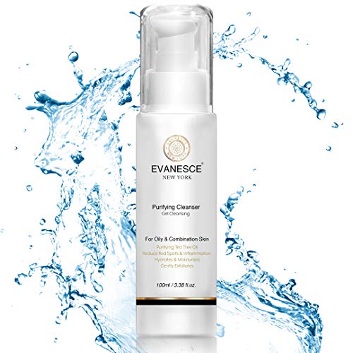 Purifying Cleanser No.1 Detox Gel Cleanser for Oily Skin. Includes Salicylic Acid that Helps to Remove Acne/Pimples. Top Acne Face Wash with Tea Tree Oil (1 x 100ml)