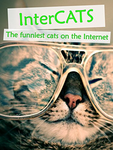 Clip: Intercats – The funniest cats on the Internet
