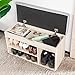 Mr IRONSTONE Shoes Bench Boot Organizing Upholstered Shoe Rack Entryway Storage, 2-Tier & 1- Hidden Compartment