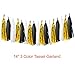 Paxcoo 30 Pcs Black and Gold Party Decorations with Tassel Garland and Paper Pom Poms for 20st, 30th, 40th, 50th, 60th, 70th,75th, 80th Birthday