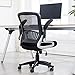 Kerms Ergonomic Adjustable Swivel Office Chair With Lumbar Support and Rollerblade Wheels-Mid Back With Breathable Mesh-Thick Seat Cushion-Flip Up Arms,Desk Chair Black
