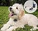 Waterproof Dog Shock Collar With Remote, Dog Training Collar With Beep/Vibrate/Shock Functions, Dog Training Shock Collar for Small to Large Dogs, Rechargeable Dog Shock Collar With Diamante Bling