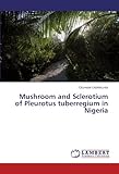 Image de Mushroom and Sclerotium of Pleurotus tuberregium in Nigeria