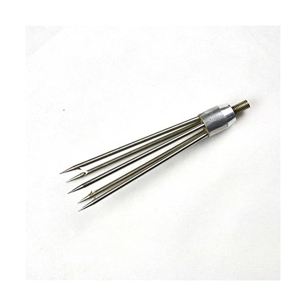 MAYMII-M8-5-Prong-Fishing-Fork-Fish-Frog-Eel-Salmon-Barbed-Stainless-Fish-Spear-Long-Nut MAYMII-M8-5-Prong-Fishing-Fork-Fish-Frog-Eel-Salmon-Barbed-Stainless-Fish-Spear-Long-Nut