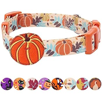 Blueberry Pet 8 Patterns Thanksgiving Fall Harvest Festival Pumpkin Designer Adjustable Dog Collar with Decoration, Medium, Neck 14.5