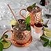 Moscow Mule Copper Mugs: Set of 2 x 18oz Mug, 2 x Coaster, 2 x Straw, 1 x Shot Glass/Cup & Bonus Cocktail Recipe eBook - 100% Copper Accessories & Kit: Handmade & Hammered - The Perfect Kitchen Gift