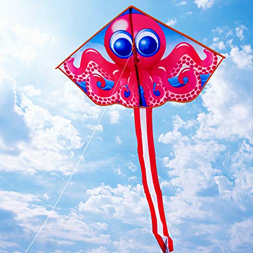 Toynspring Large Kite & Kites for Kids Adults Easy to Fly The Beach