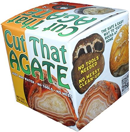 Cut That Agate - Septarian Calcite Nodule