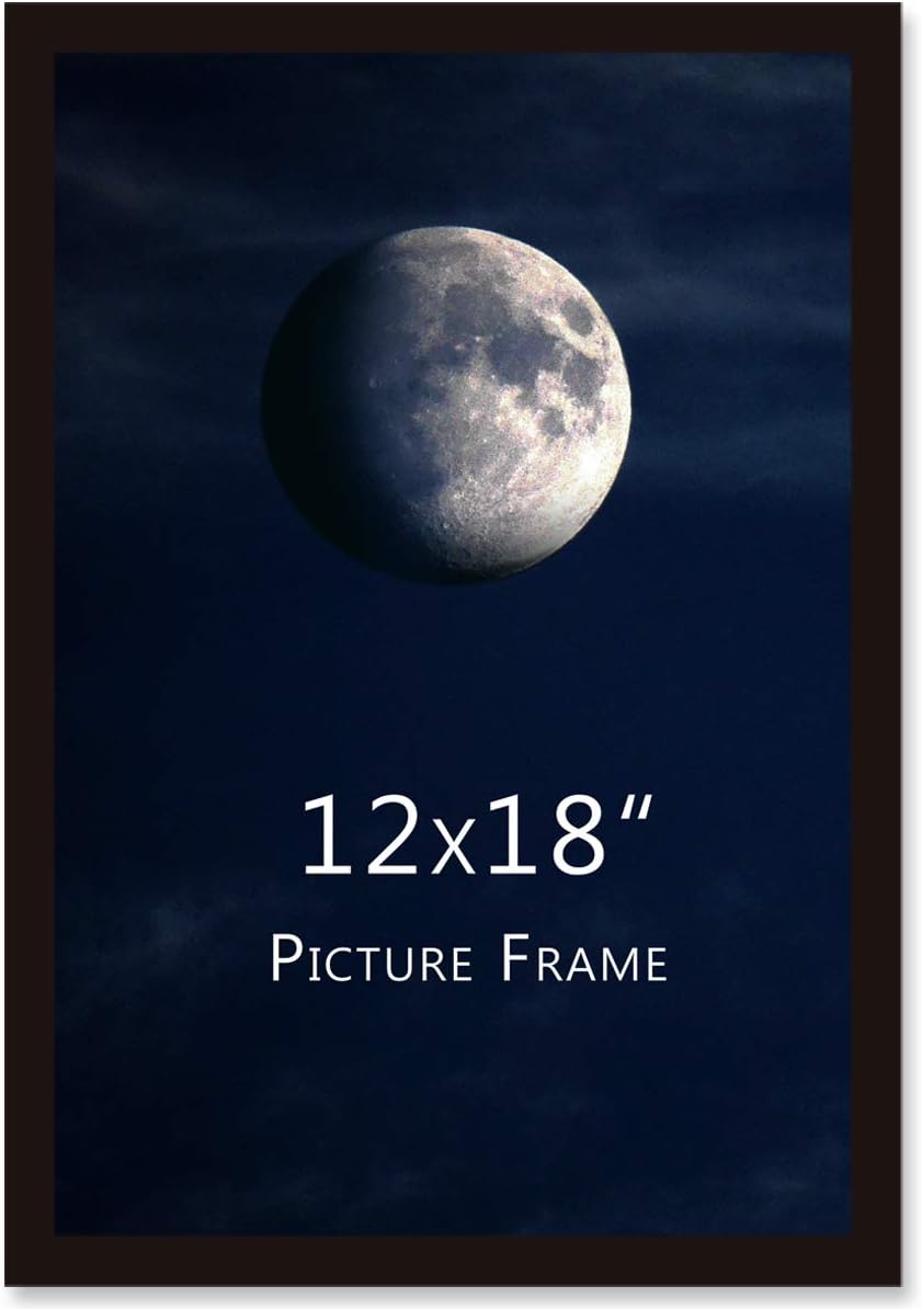 Plexiglass 12x18 Frame Black(1 Pack) Solid Wood Wall