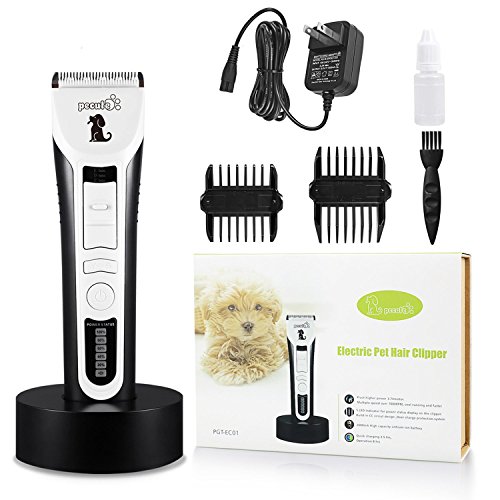 Electric Clippers