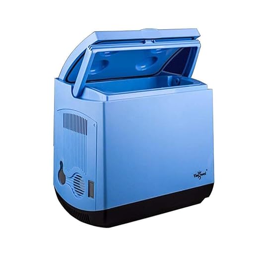 FJFSSH - Caja de Regalo para frigorífico, camión, Nevera portátil ...