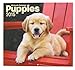 2015 Wall Calendar - 16 Month Puppies Design