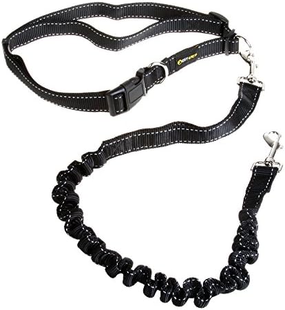 ESY4PETS 2pcs LED Light Safety Dog Collar Charm + 1pc Black Hands Free Reflective Leash Shock Absorbing Extendible Bungee Adjustable Waist Belt - Recommended for Running , Jogging , Walking or Hiking