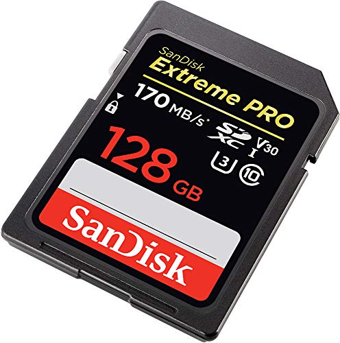 2 SanDisk+128GB+Extreme+UHS+I+SDSDXXY+128G+GN4IN