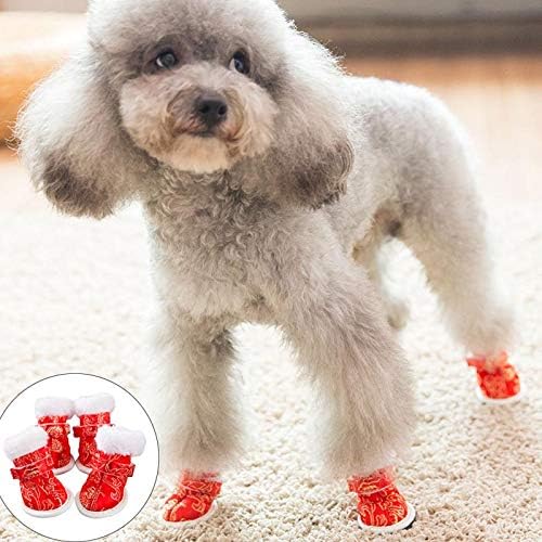 cute shoes for dogs