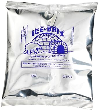 polar tech ice brix